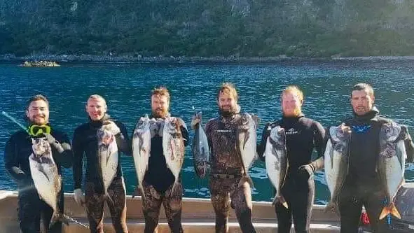 Southern Charters