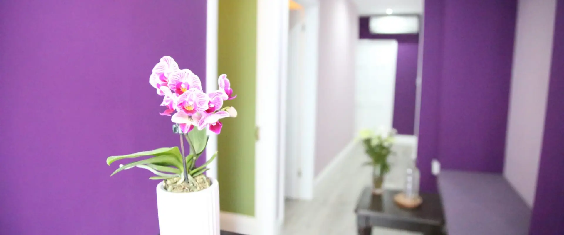 Laura Ryan Therapies
