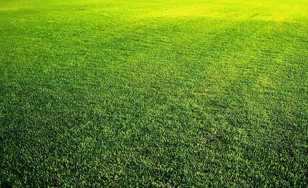 Hammond Park Football Club