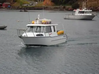 Loredo Charters