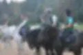 Association Cheval-Espérance