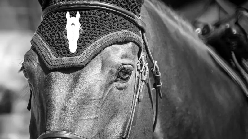 Equestrian Center De Senlis