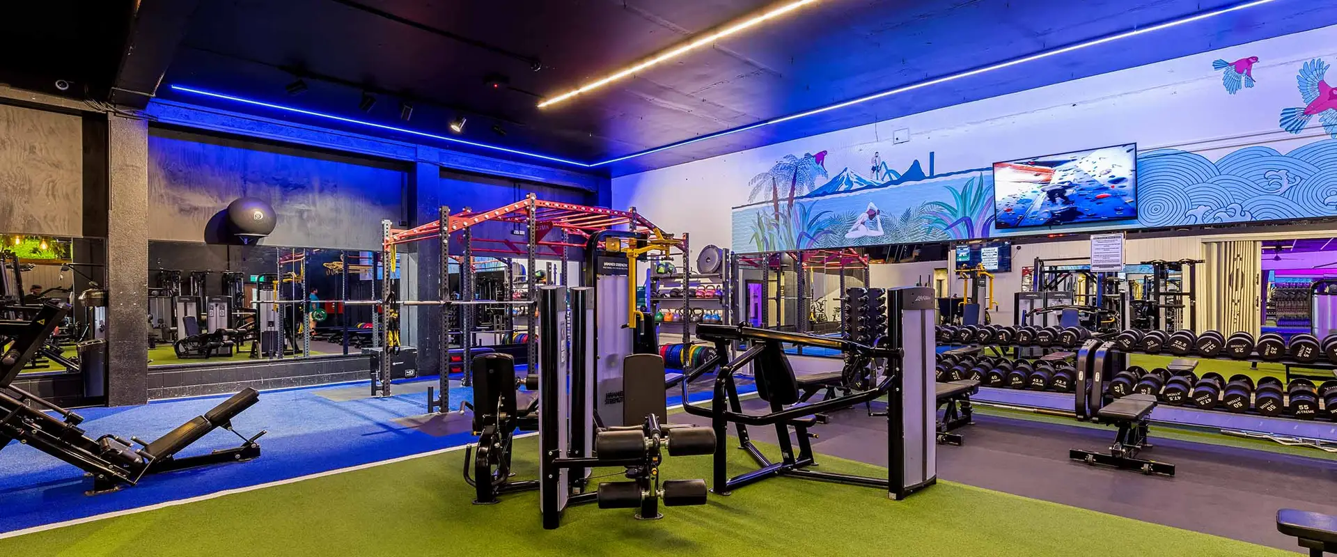 Flex Fitness New Plymouth