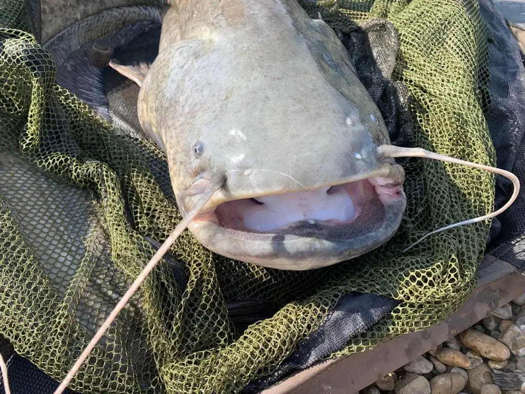Oakwood Park Lakes