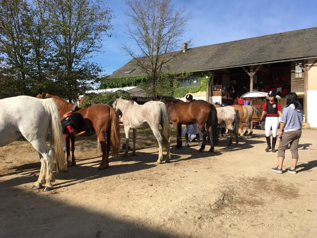 CENTRE EQUESTRE DE L EPINEAU