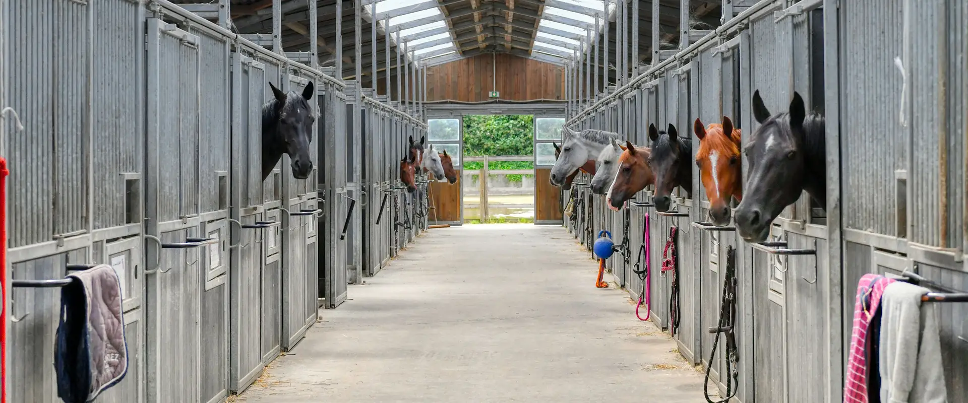 Equestrian Club Du Forest