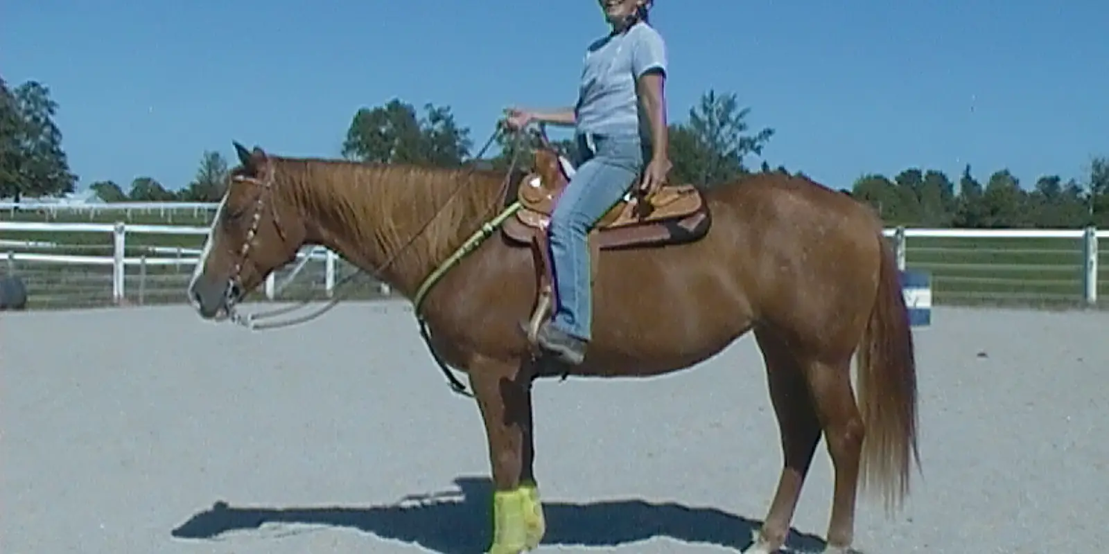 Equestrian Arts