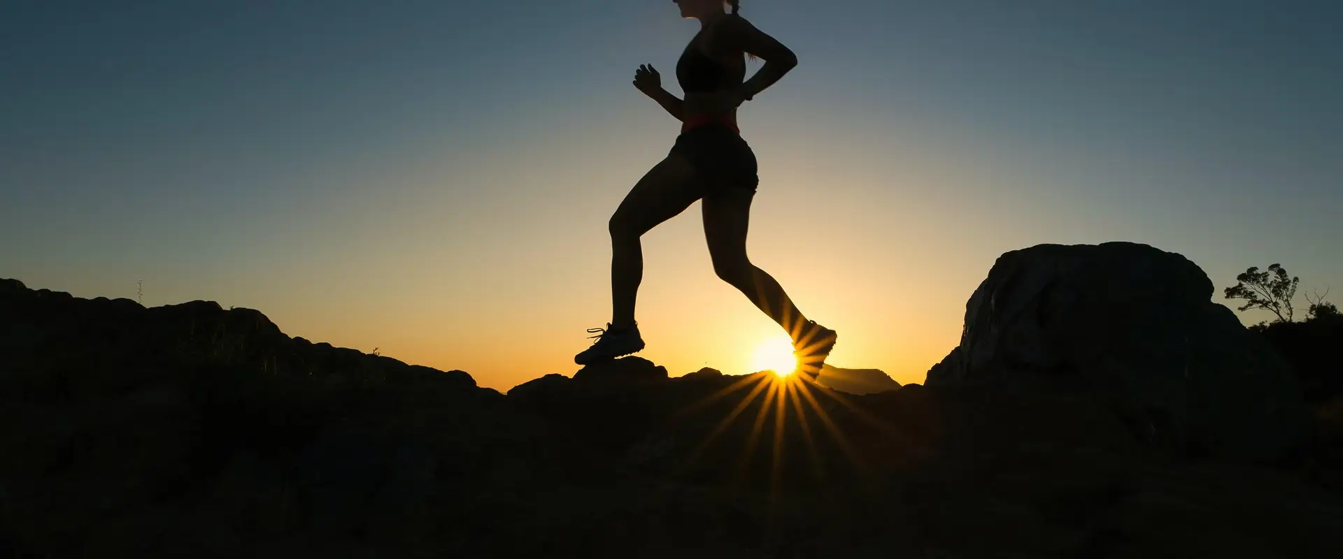 Change Fitness