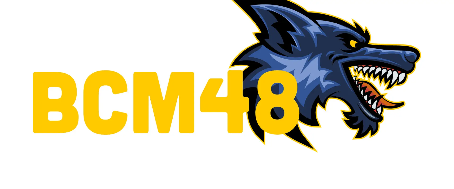 BCM48 - Basket Causses Mendois