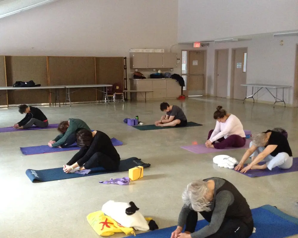 Big Fish Yoga