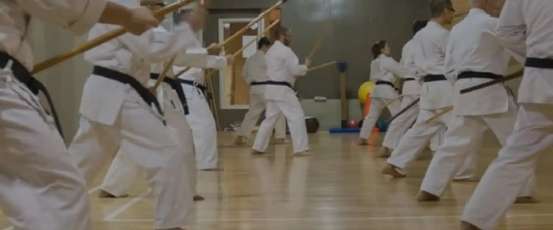 Academy of Martial Arts