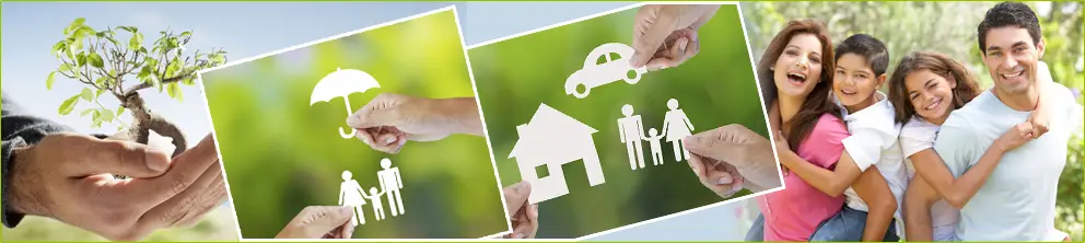 B.B. GOEL INSURANCE AND INVESTMENT SERVICES