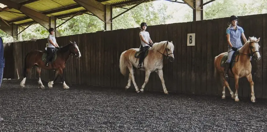 High Beech Riding School