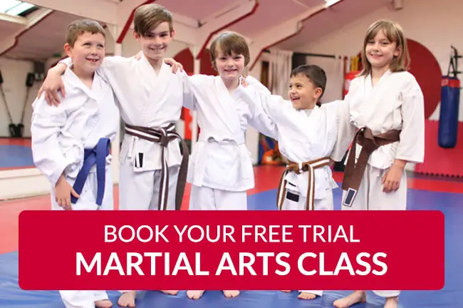 Pro Martial Arts Schools - Lincoln