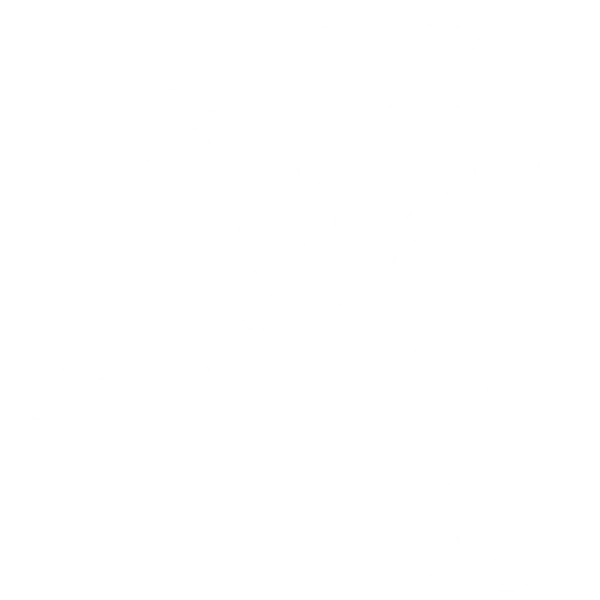 The Kinesiology Prescription - Rebecca Hayman