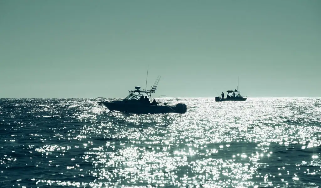 WardoWest Tofino Sportfishing