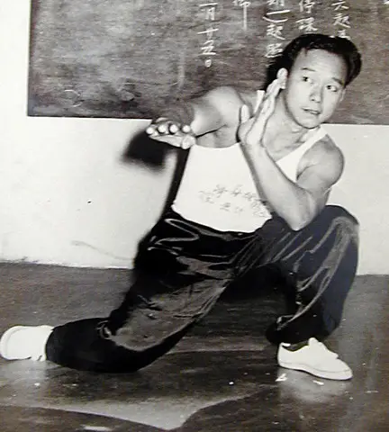 Kungfustjerome.com