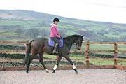 Truewell Hall Riding Centre