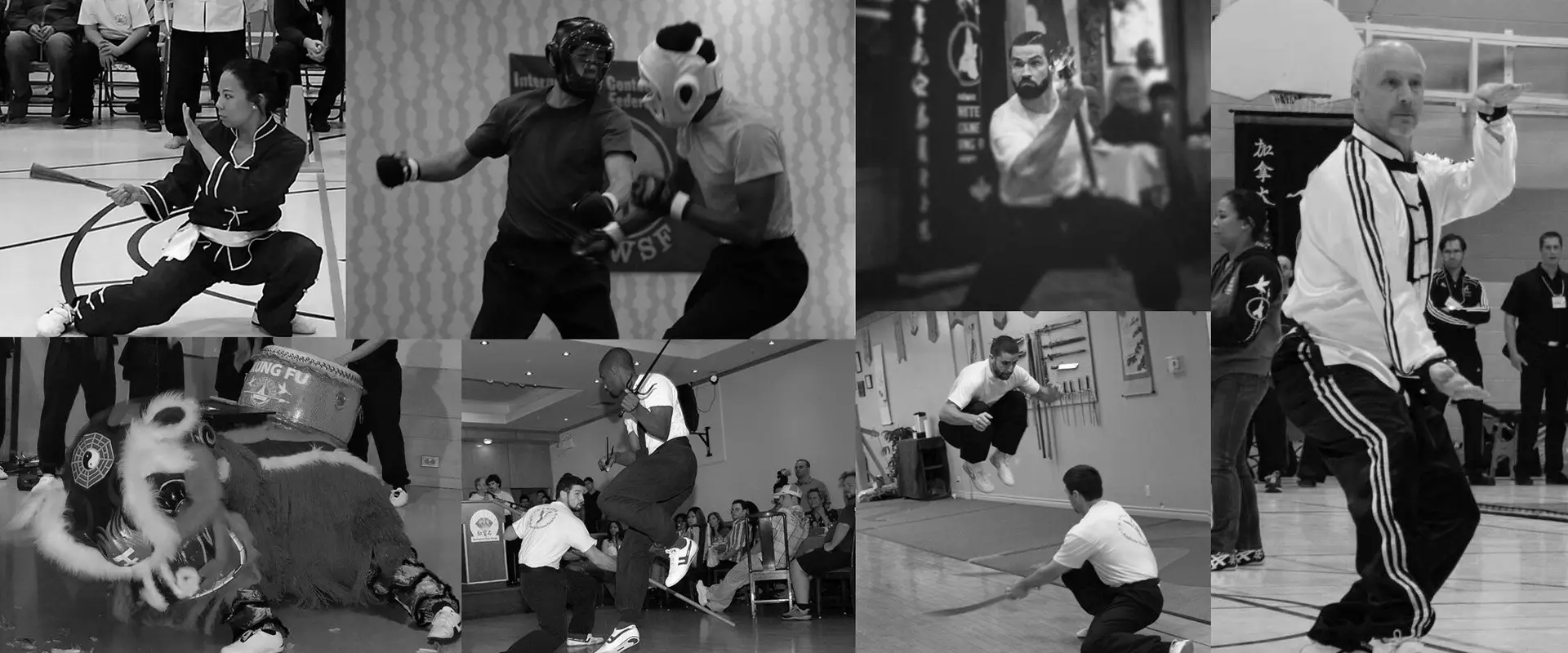 Academy White Crane Kung Fu