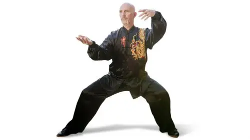 Tai Chi Nick Online