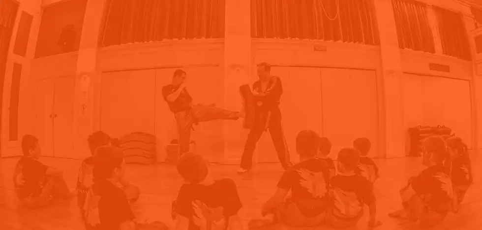 Freestyle Martial Arts Fareham