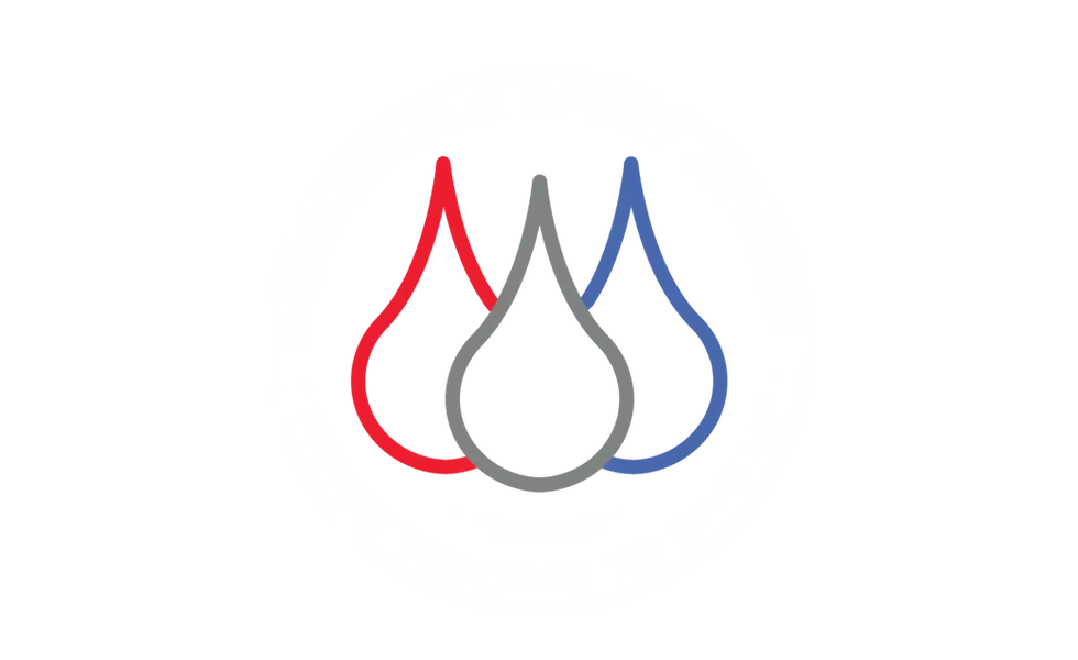 Indomitable Spirit Fitness