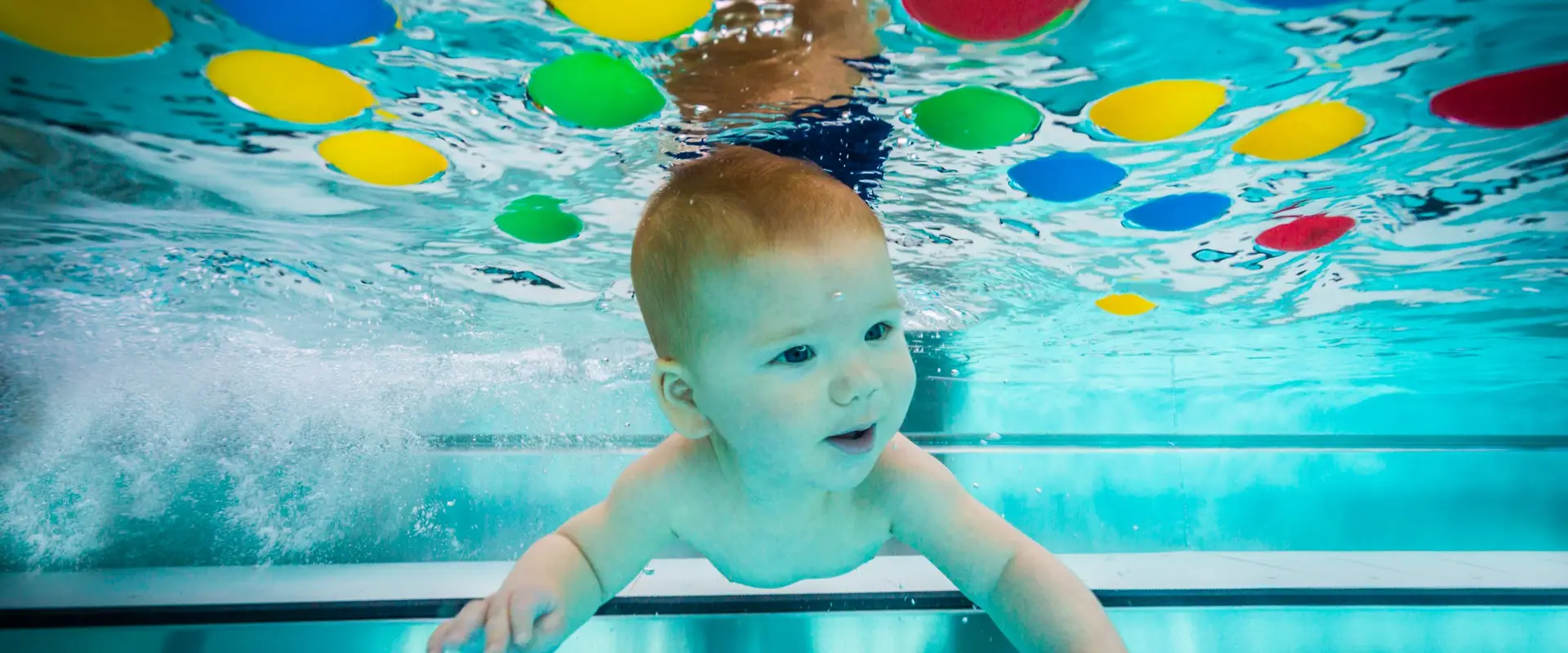 Liz van Welie Aquatics