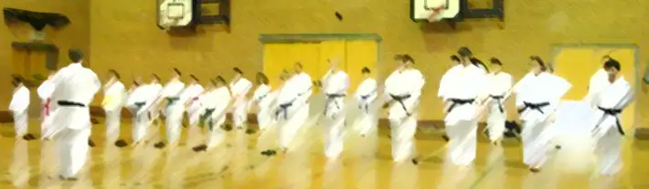 Lichfield Wado Ryu Karate Club