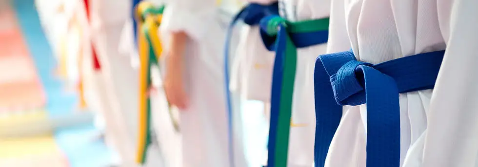 Champion Taekwondo