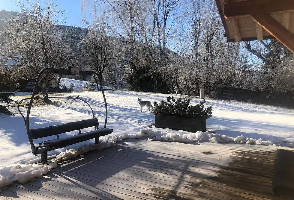 Chalet l’Alpen