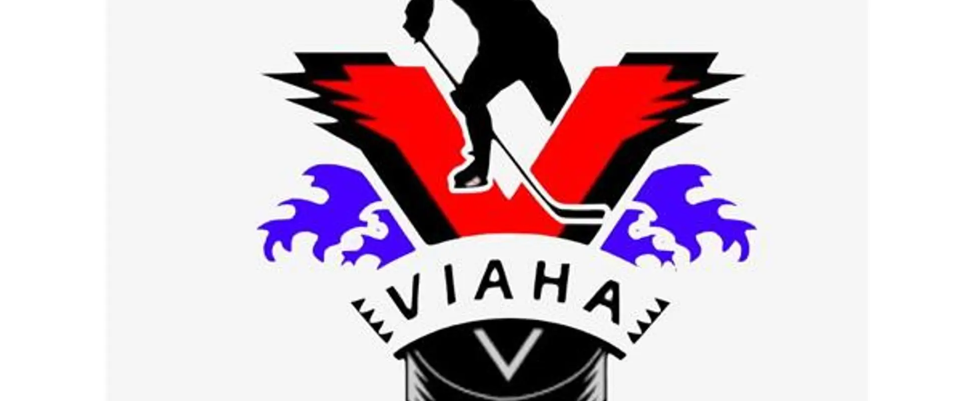 JDF Minor Hockey