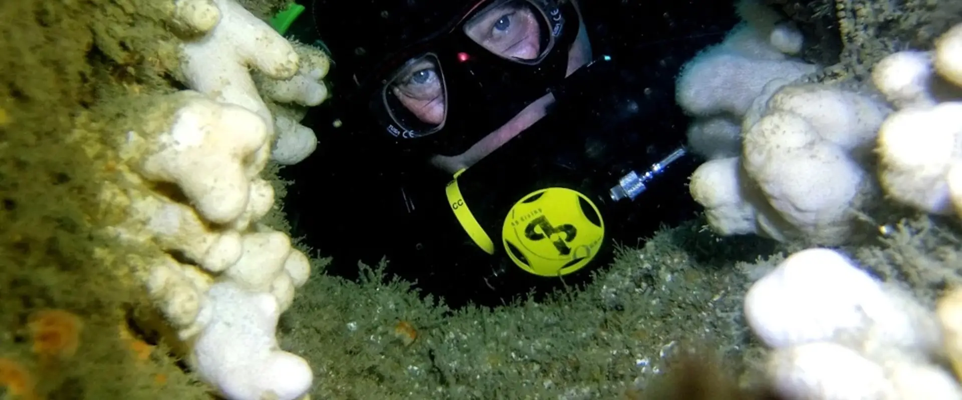 Silent Diving - Rebreather Sales And Training