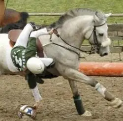 Equestrian Club Of Ponds De Meudon