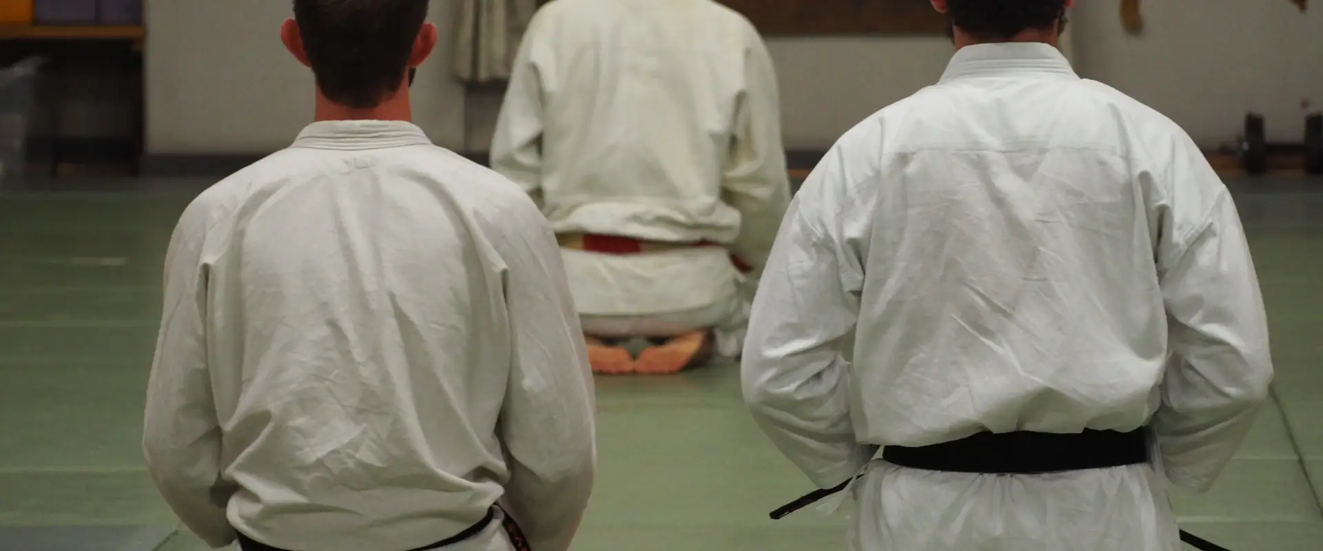 nihon taijitsu pontault combault