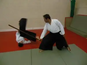 Aikido Club De Seysses
