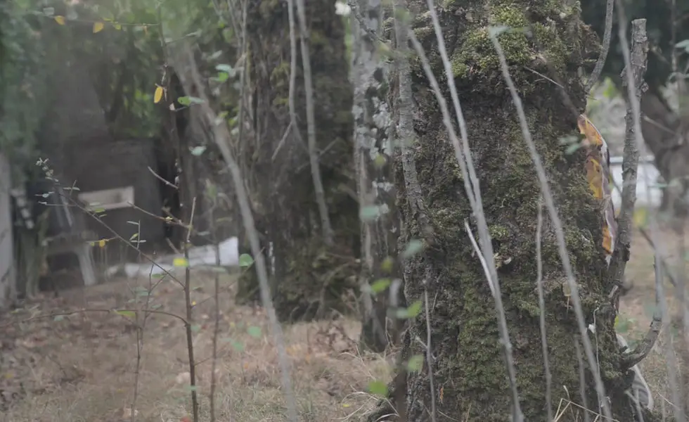 Paintball 79