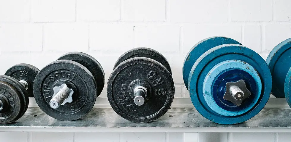 Holistic Fit