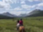 Ram Rides - Ram River Tours