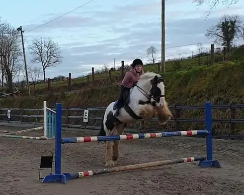 Derryham Stables