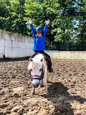 Equestrian Center Vallée De La Bruche