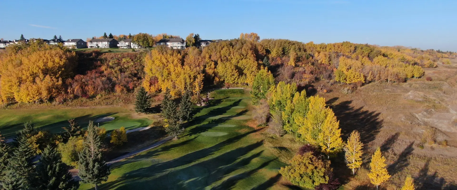 avgolfyyc.com