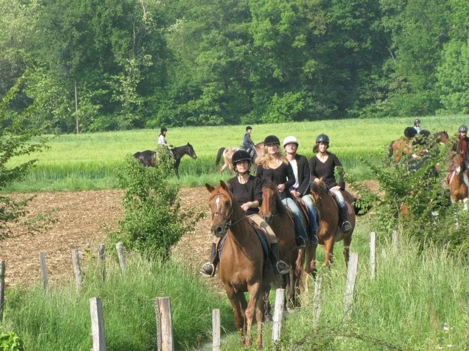 CENTRE EQUESTRE ET PONEY CLUB METAIRIE DU ROC