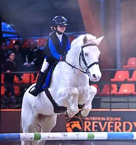CAVALIERS DE L ECURIE BOI