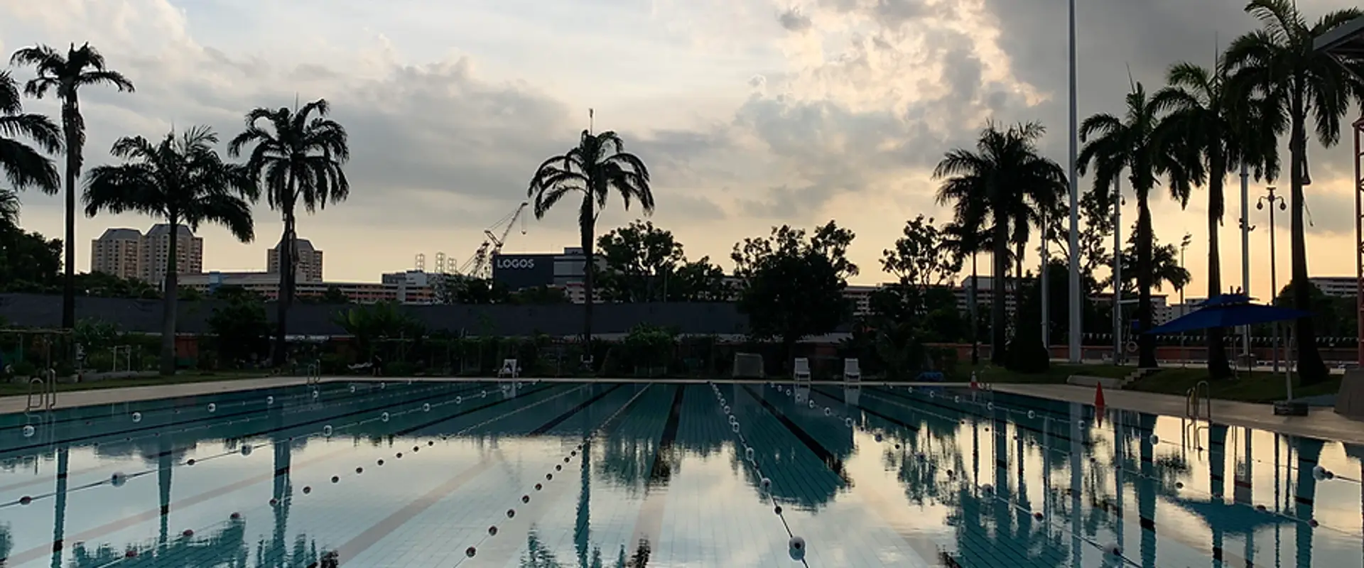 SG Sink Or Swim School