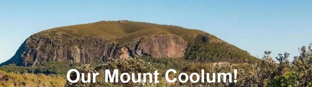 Coolum Bridge Club