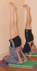 Centre Lédonien de Yoga