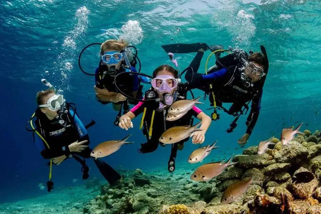 Anne Scuba Diving Inc.