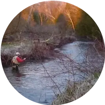 Cold Creek Fly Fishers