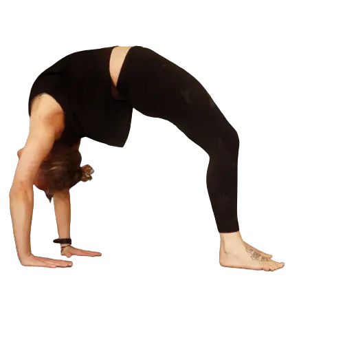 Crumpet Yogi