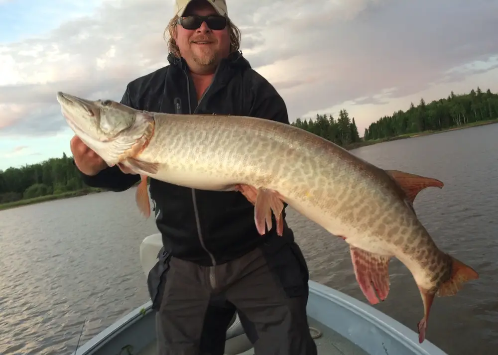 Maynard Lake Lodge